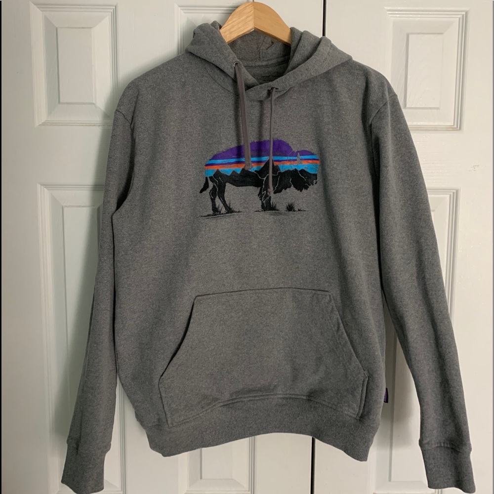 Patagonia Hoody